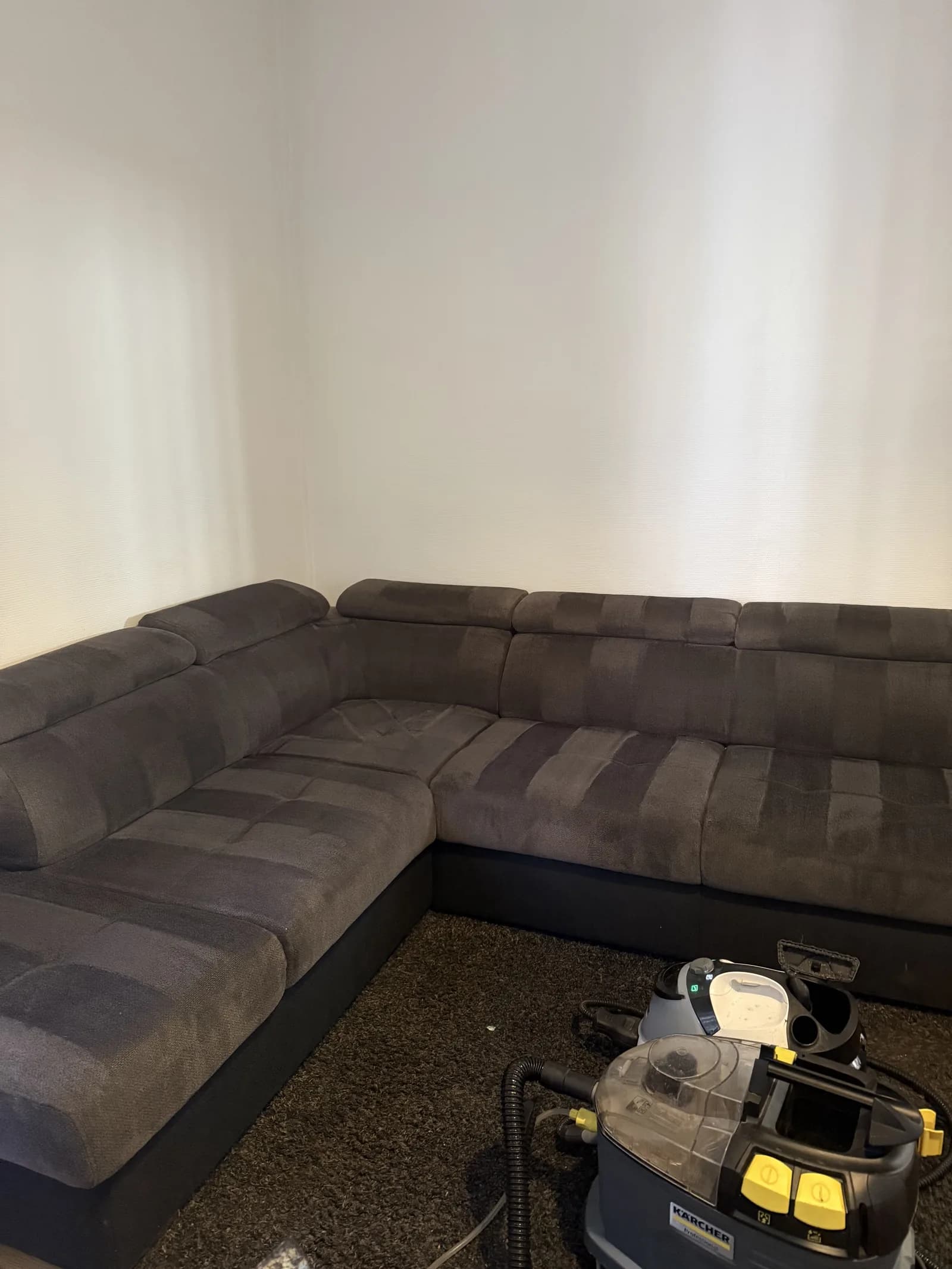 Nettoyage de tapis à Dardilly - réalisation 6