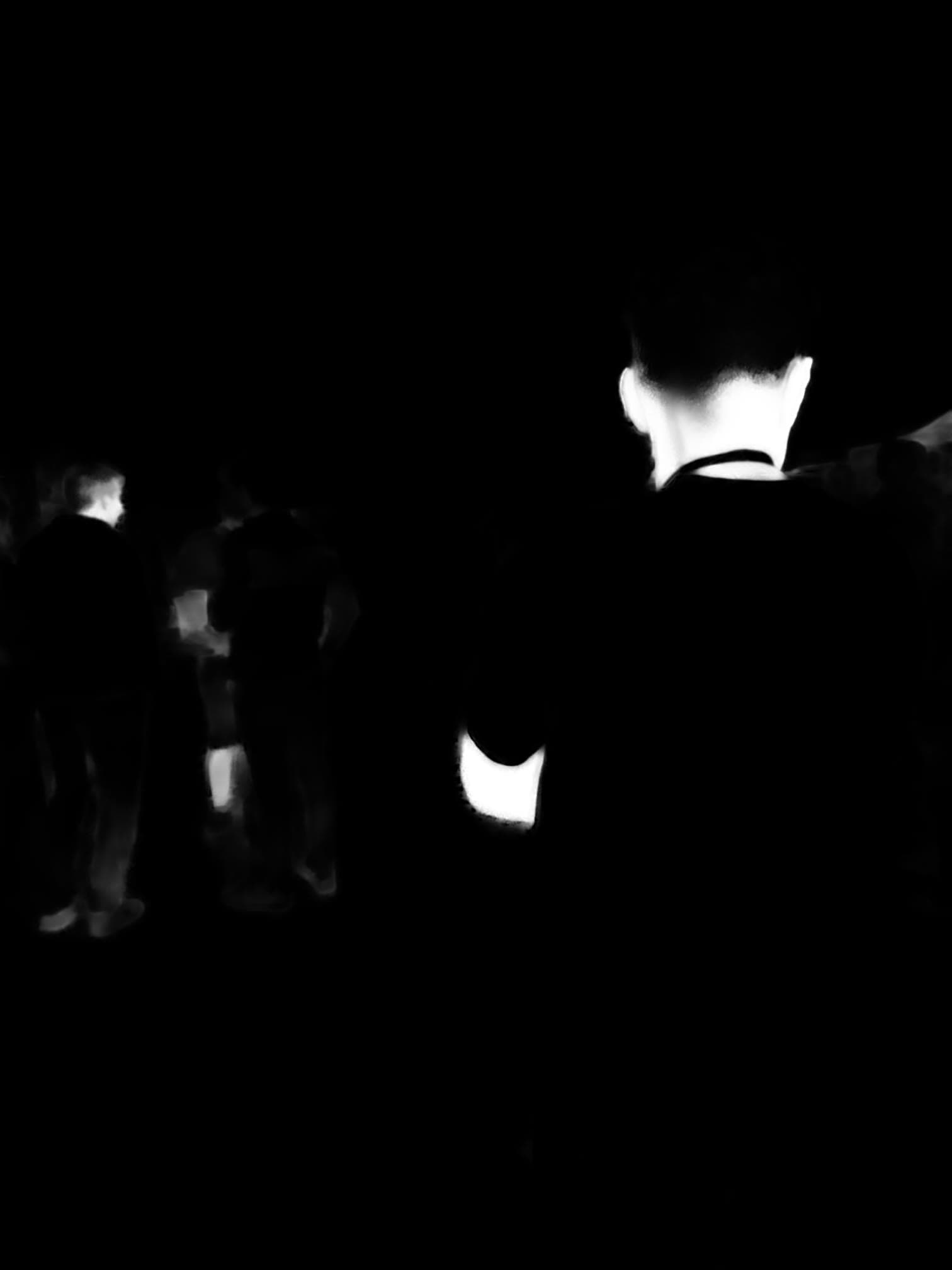 Festivals & Concerts